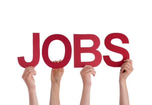 Use HMRC app and be job-ready this summer