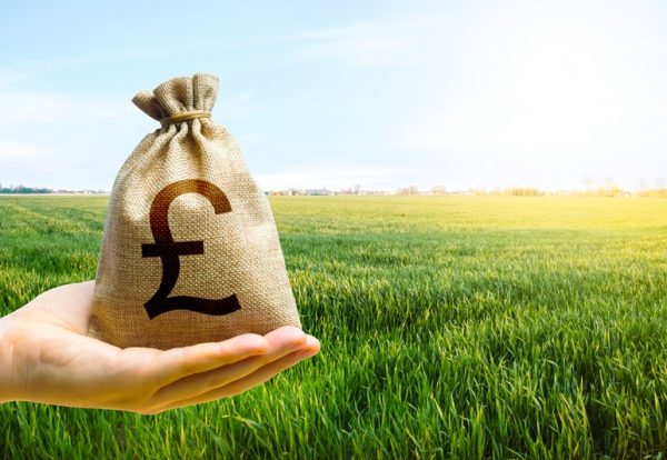 Do you have additional income streams?