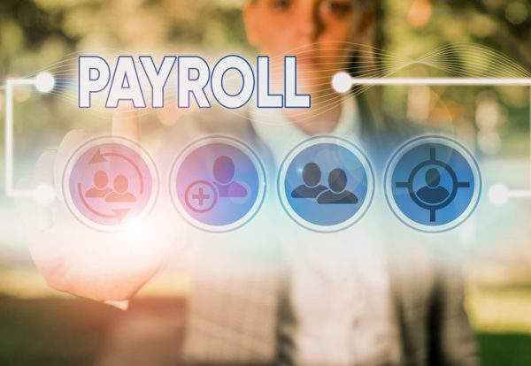 Setting up a payroll scheme