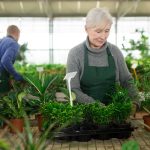 The rise of the silver economy